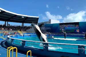 Miami Seaquarium image