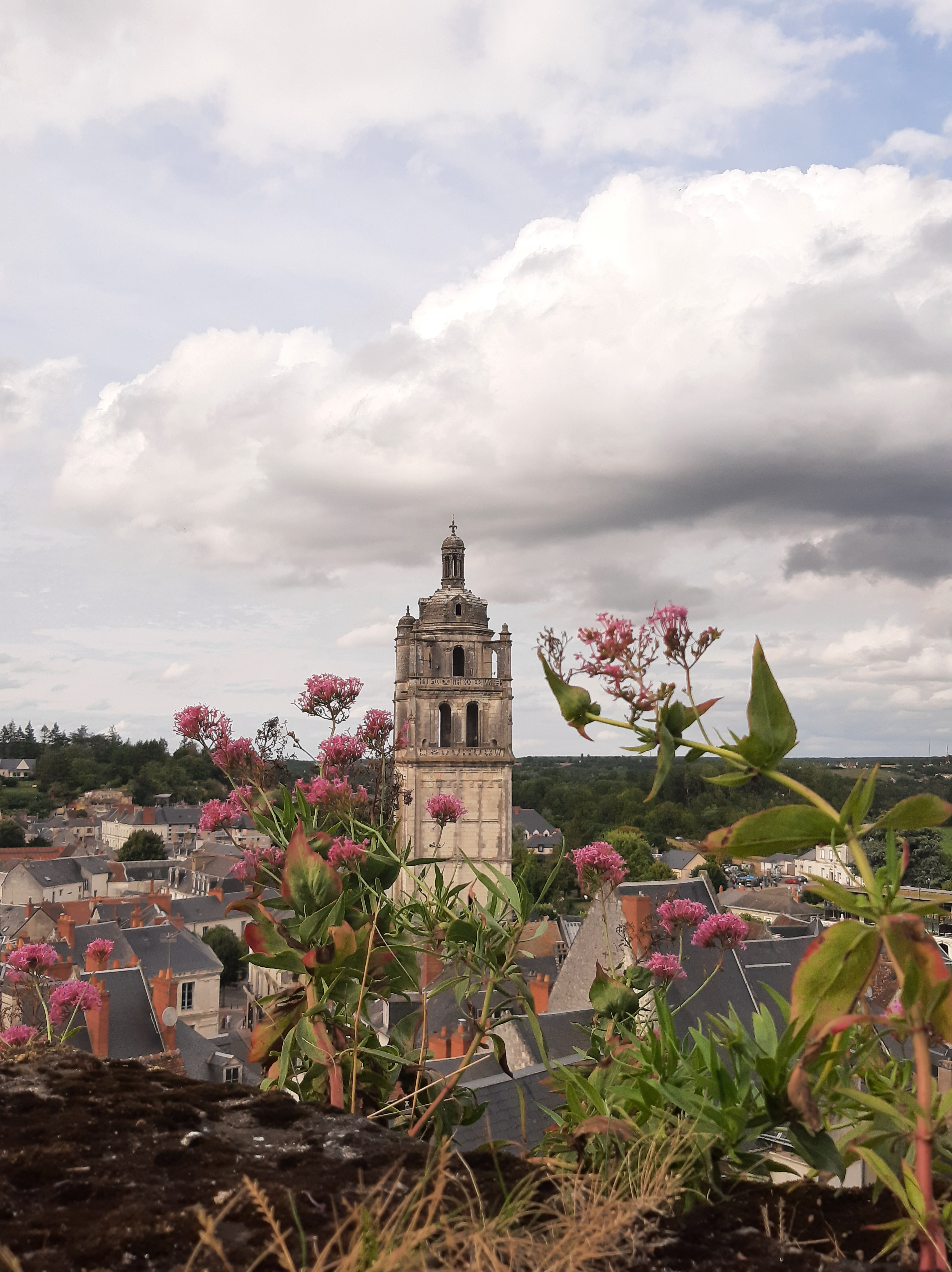 Photo n° 2 de l'avis de francoise.i fait le 15/08/2023 à 19:21
