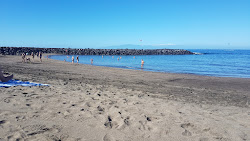 Photo de Playa de Troya et le règlement