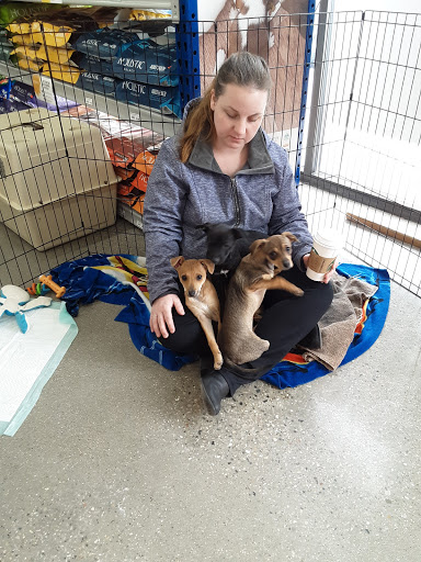 Pet Supply Store «Chow Hound Pet Supplies», reviews and photos, 5811 Byron Center Ave SW, Wyoming, MI 49519, USA