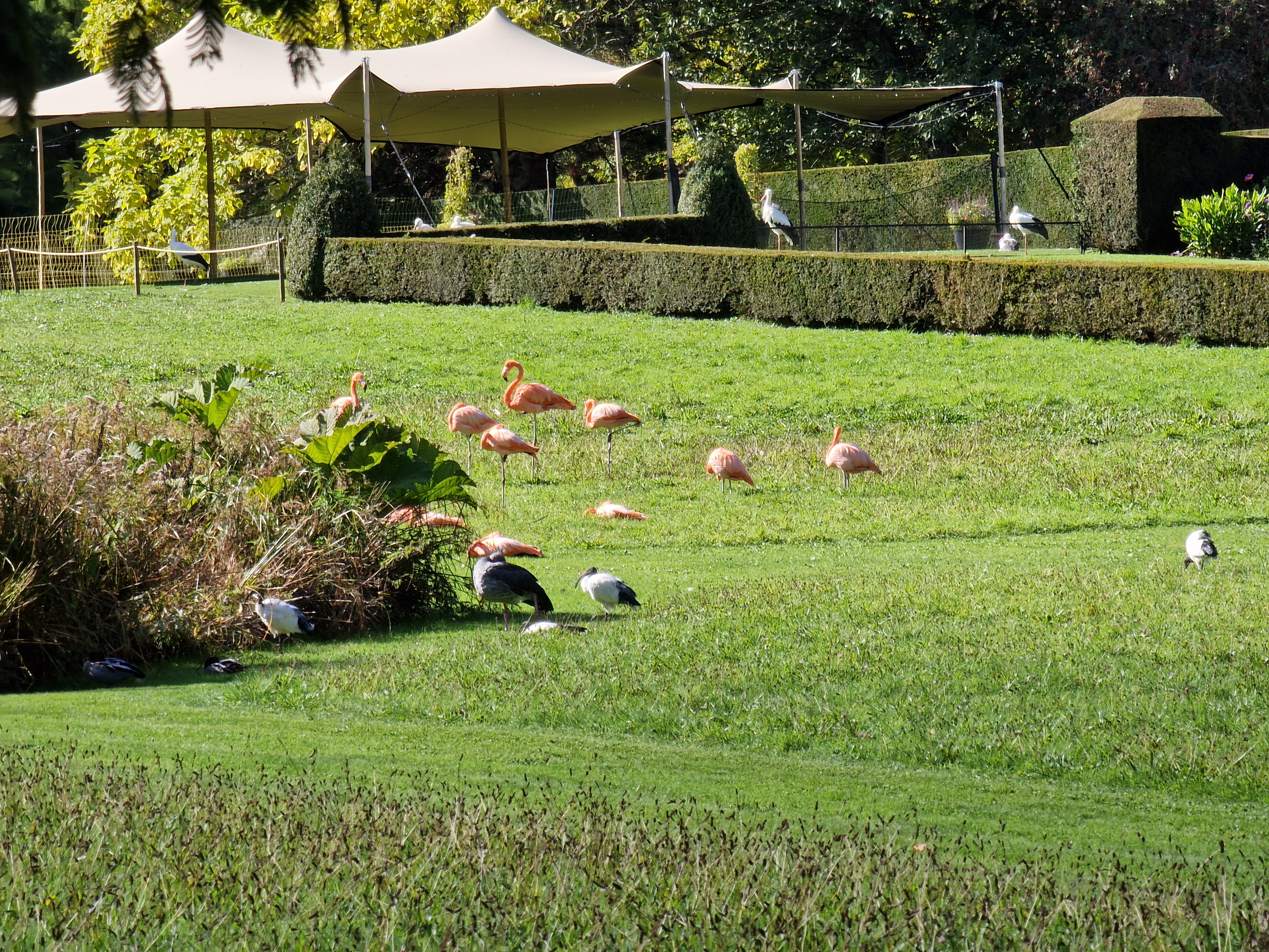 Photo n° 6 de l'avis de Brice.s fait le 19/10/2022 à 16:34