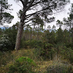 Photo n°3 de l'avis de Loris.c fait le 06/03/2020 à 08:43 sur le  Hotel Villa Cesi à Impruneta