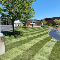 Brighthorizon Lawn Care - Car repair in , Kent - Rated 5.0/5