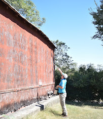 Green Akers Pest Control LLC - Photo 5 - Car repair in , Lynchburg