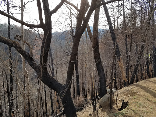 Amusement Park «Ober Gatlinburg», reviews and photos, 1001 Parkway #2, Gatlinburg, TN 37738, USA