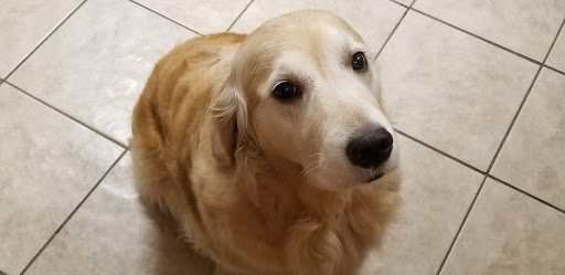 Pet Store «Animal Outfitters», reviews and photos, 661 S Military Rd, Fond du Lac, WI 54935, USA