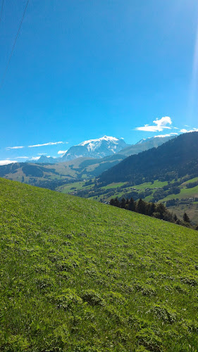 Grange Francois à Praz-sur-Arly