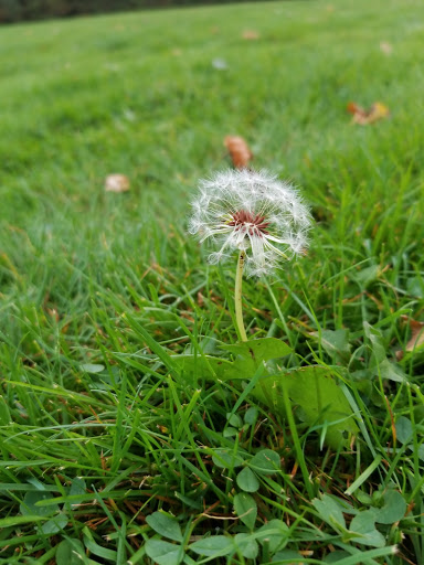 Historical Place «Castle Hill», reviews and photos, 290 Argilla Rd, Ipswich, MA 01938, USA