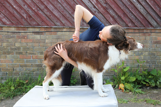 Dr Charmaine Dell - Human & Animal Chiropractor