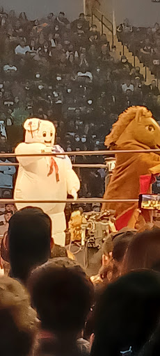 Arena «Agganis Arena», reviews and photos, 925 Commonwealth Avenue, Boston, MA 02215, USA