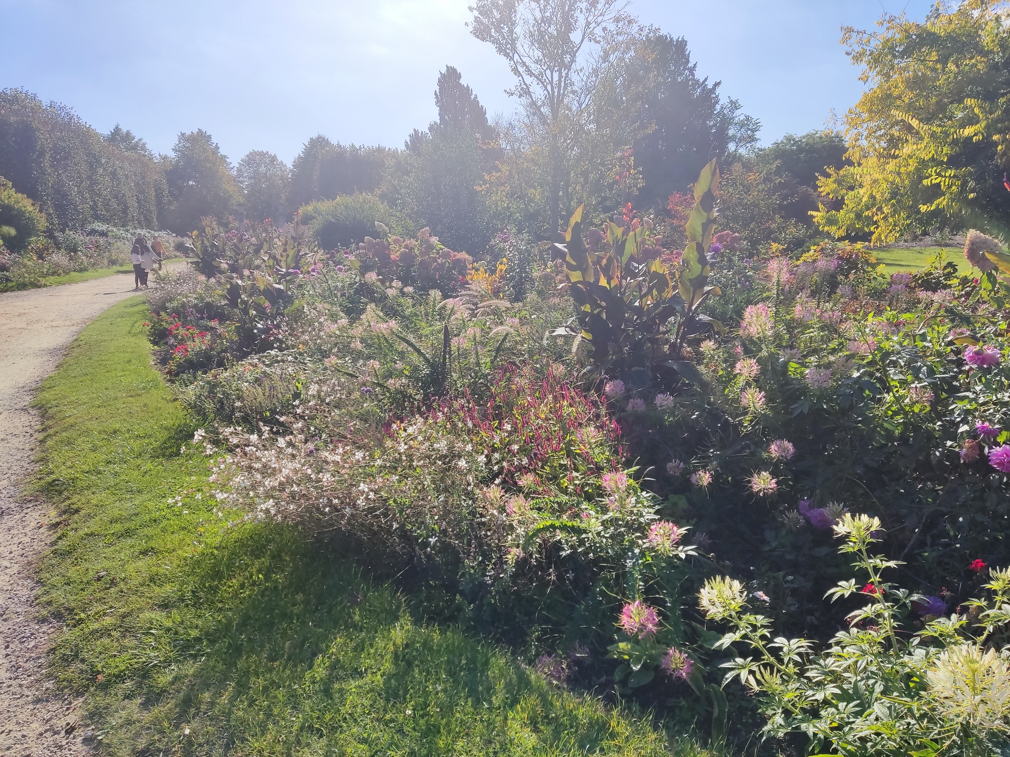 Photo n° 5 de l'avis de Mikkonen.e fait le 19/10/2021 à 08:24