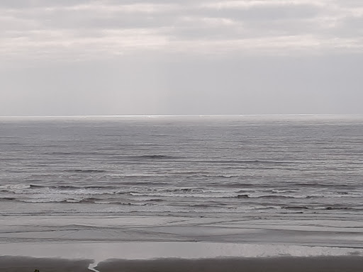 Restaurant «Windjammer Restaurant & Lounge», reviews and photos, 108 1st St N, Pacific Beach, WA 98571, USA