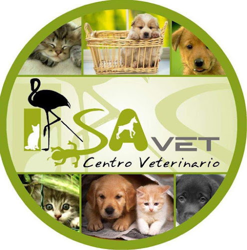 Iasavet Centro Veterinario Buin - Buin