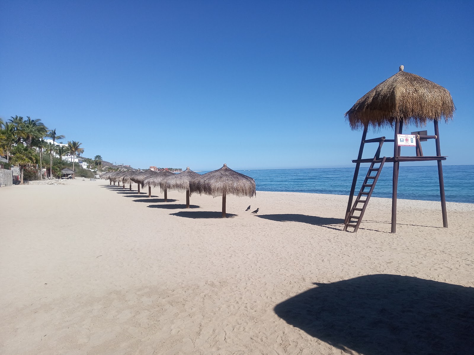 Zdjęcie Playa buena vista z poziomem czystości głoska bezdźwięczna