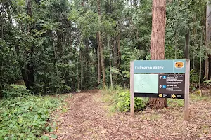 Richmond Range National Park image