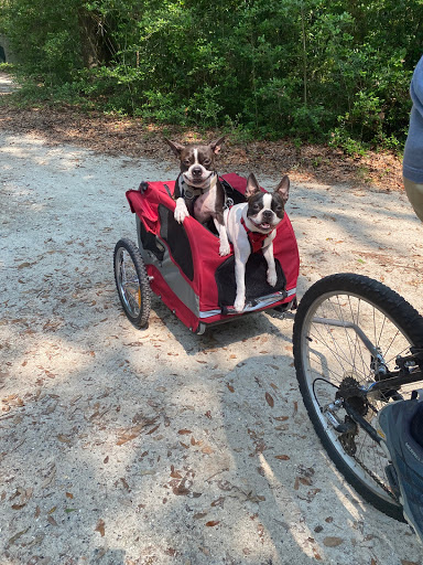 Pet Supply Store «Lazy Creek Discount Pet Food & Supplies», reviews and photos, 351 E Church St, Leesville, SC 29070, USA