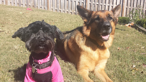 Pet Boarding Service «The Puppy Pantry», reviews and photos, 2590 Hamilton Mill Rd, Buford, GA 30519, USA