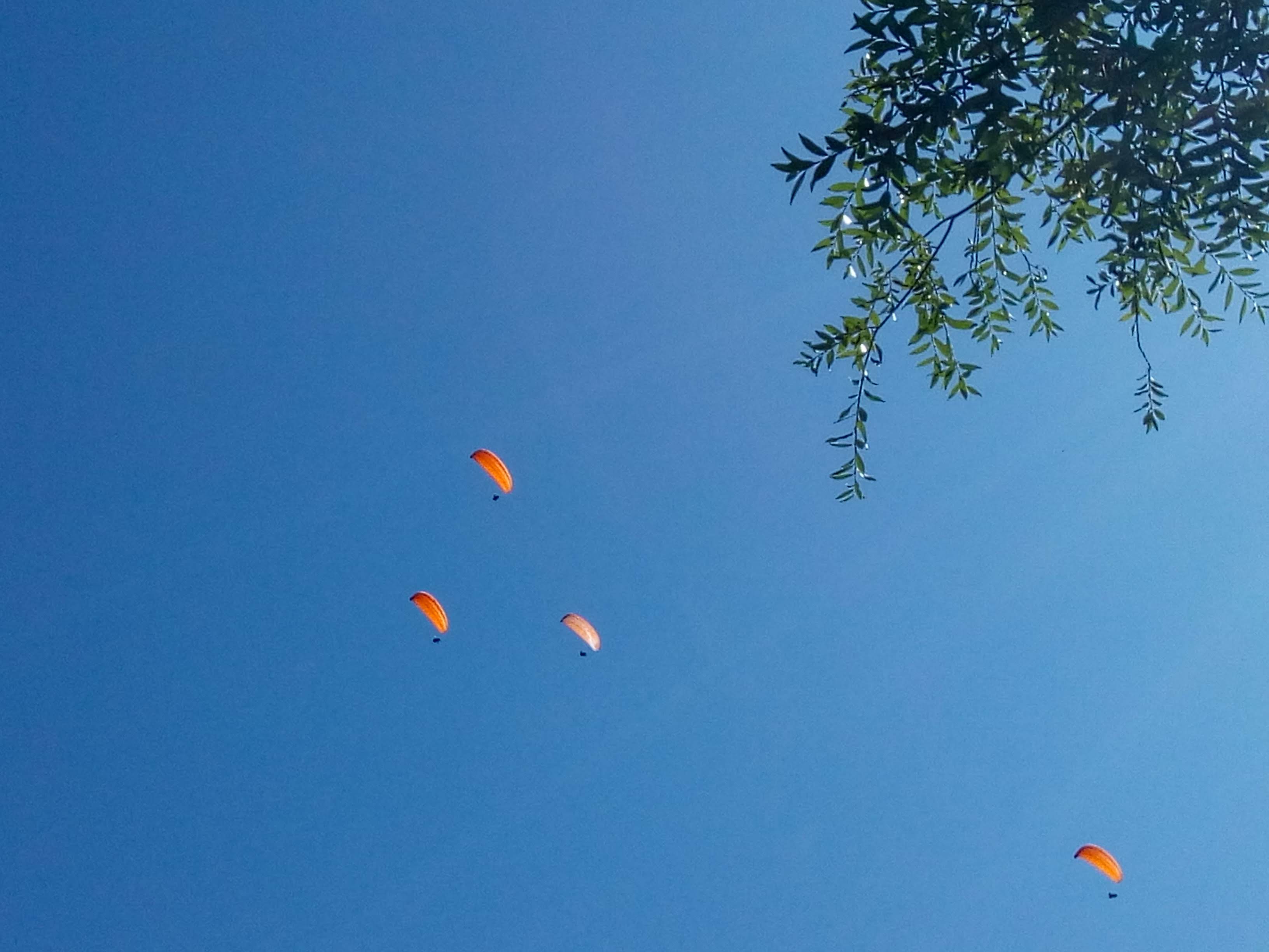 Photo n° 1 de l'avis de Christine.a fait le 26/08/2019 à 16:47