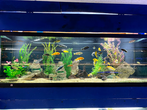 Pet Store «Fish Bowl Aquarium & Pet Mart», reviews and photos, 725 Providence St, West Warwick, RI 02893, USA