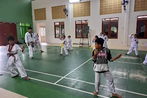 Taekwondo Balong image