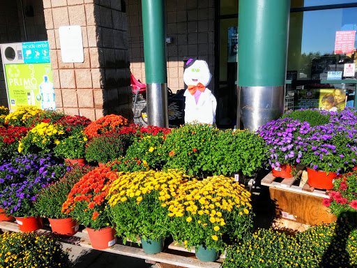 Shopping Mall «Airport Mall», reviews and photos, 1129 Union St, Bangor, ME 04401, USA