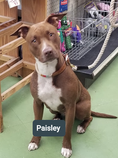 Pet Supply Store «Animal Krackers Inc», reviews and photos, 232 Main St, Gloucester, MA 01930, USA