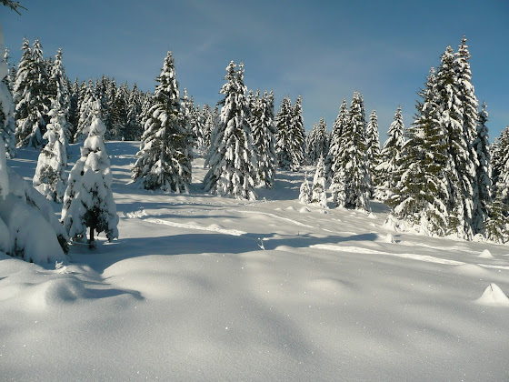 Photos du propriétaire Logement meublé location studio guy valettte 39370 La Pesse