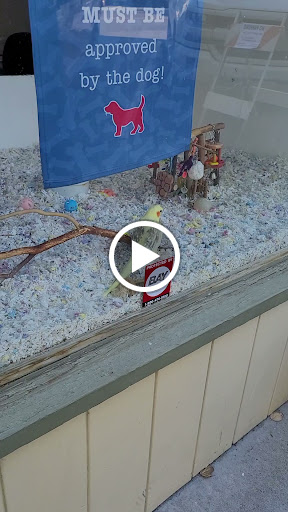 Pet Store «Pets 4 All», reviews and photos, 167 Main St, Rio Vista, CA 94571, USA