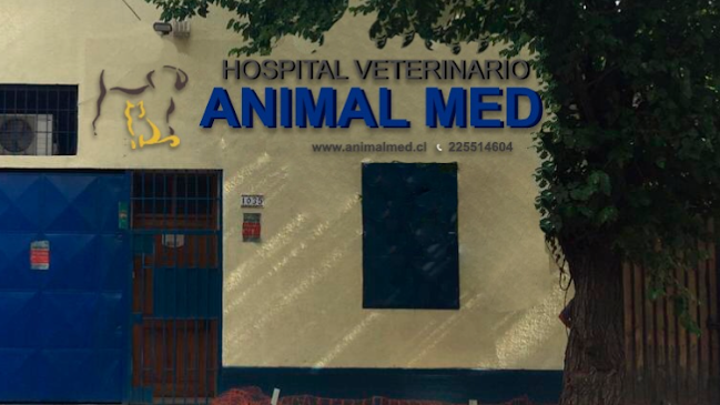 Hospital Veterinario Animal Med