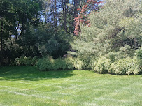 Landscaper & Hardscaper Jaziel LLC