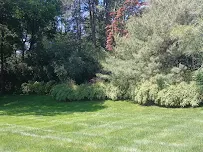 Landscaper & Hardscaper Jaziel LLC - Car repair in , Trenton - Rated 5.0/5