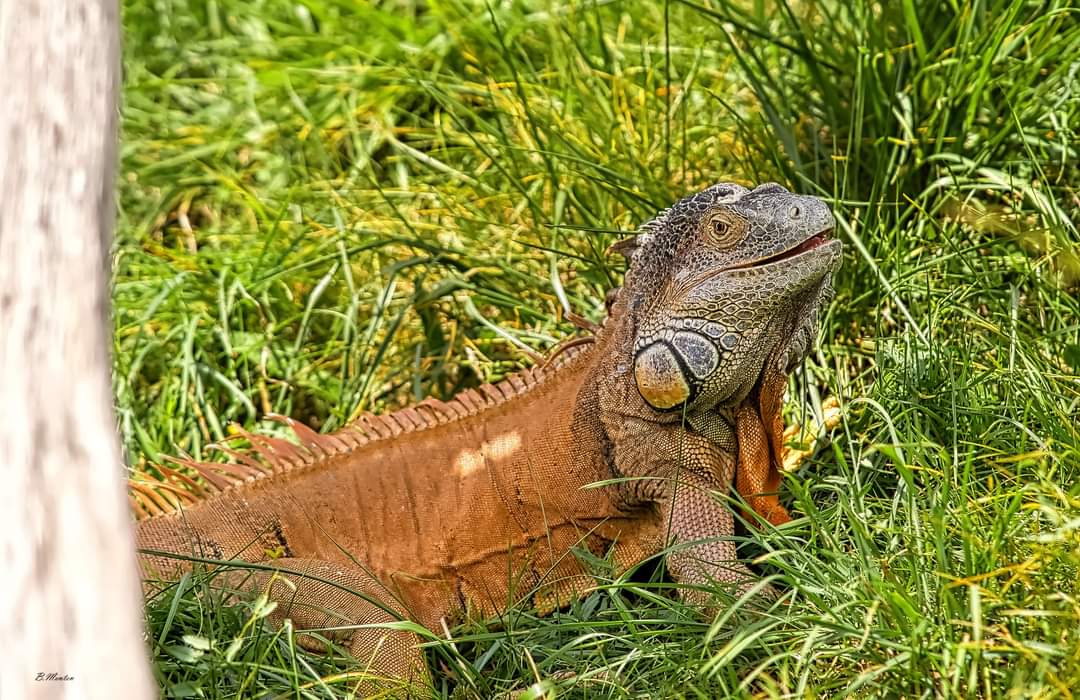 Photo n° 9 de l'avis de Bart.e fait le 19/08/2021 à 19:17