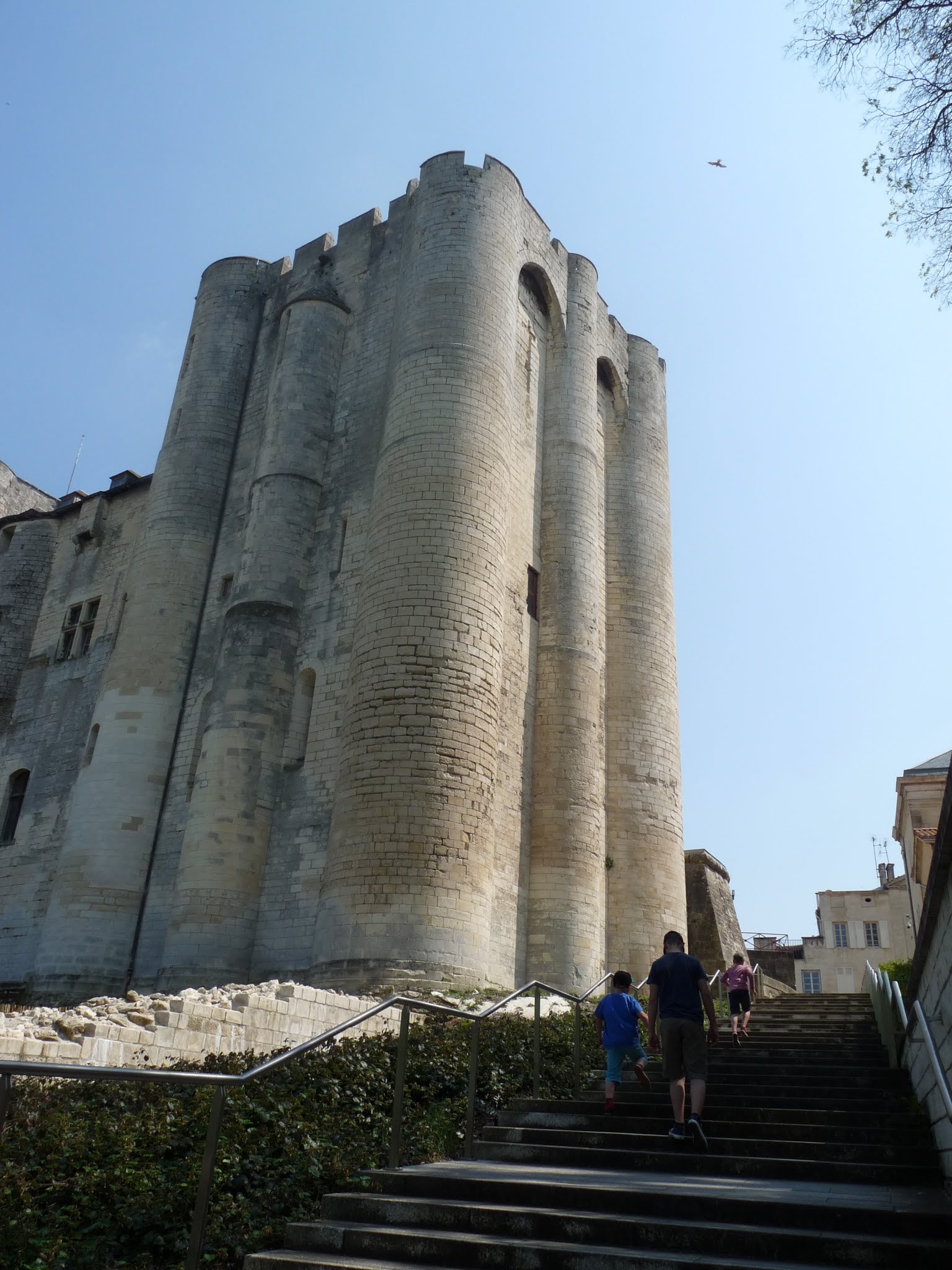 Photo n° 5 de l'avis de Guillaume.i fait le 09/05/2019 à 06:41