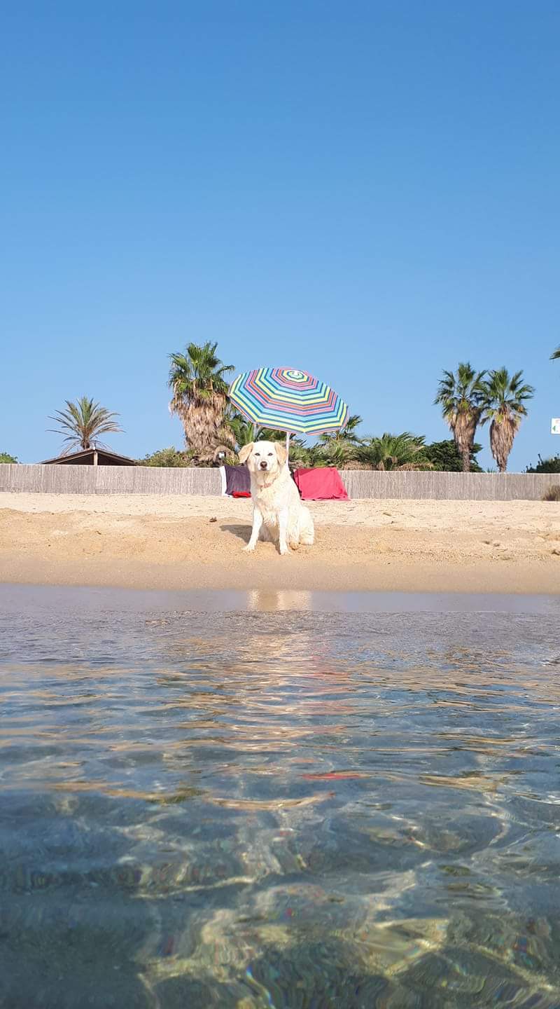 Photo n° 1 de l'avis de Molly.u fait le 13/09/2018 à 18:04