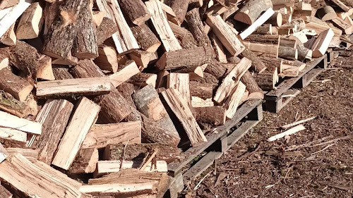 Magasin de bois de chauffage Rhône-alpes-bois Peyrins