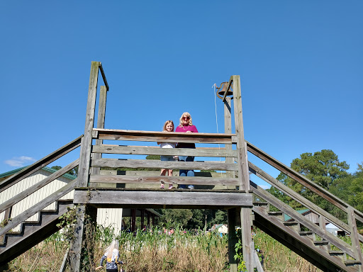 Naylor Family Farm & Corn Maze