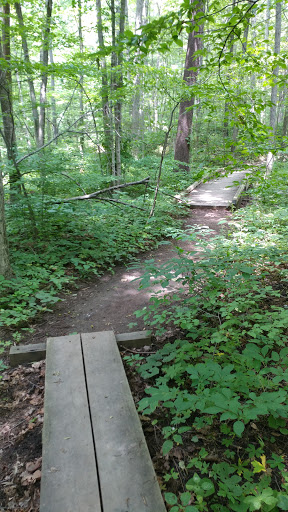 Nature Preserve «Scio Woods Preserve», reviews and photos, Scio Church Rd, Ann Arbor, MI 48103, USA