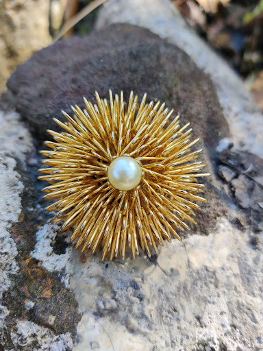 Thrift Store «Goodwill», reviews and photos, 29770 Walker South Rd, Walker, LA 70785, USA