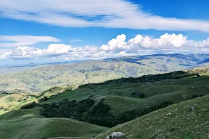 Mission Peak Regional Preserve image