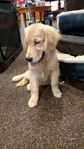 Clothing Store «Orvis», reviews and photos, 11800 W Broad St Suite 1650, Richmond, VA 23233, USA