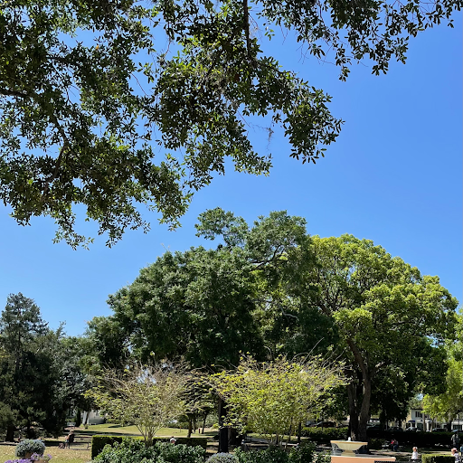 Bankruptcy Attorney «Orlando Bankruptcy Lawyer Stephen Caplan», reviews and photos