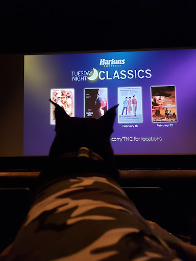 Movie Theater «Harkins Theatres Arizona Pavilions 12», reviews and photos, 5755 N Business Park Dr, Tucson, AZ 85743, USA