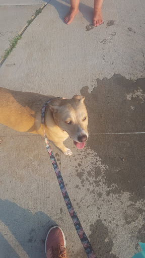 Park «Robsion Park», reviews and photos, Robsion Park Dr, Lyndon, KY 40222, USA