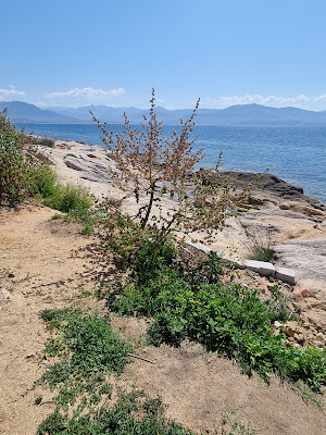 Chapelle des Grecs à Ajaccio
