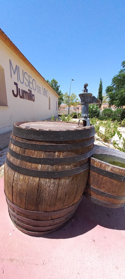 Museo del Vino
