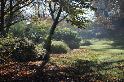 Arboretum de la Sédelle à Crozant