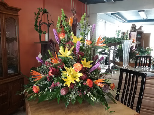 Arthur Pfeil Flowers, 803 W Ashby Pl, San Antonio, TX 78212, USA, 