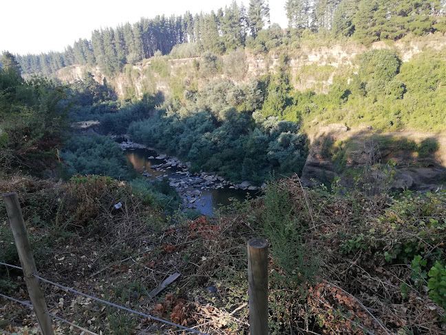 Teléfono de Saltos Del Itata