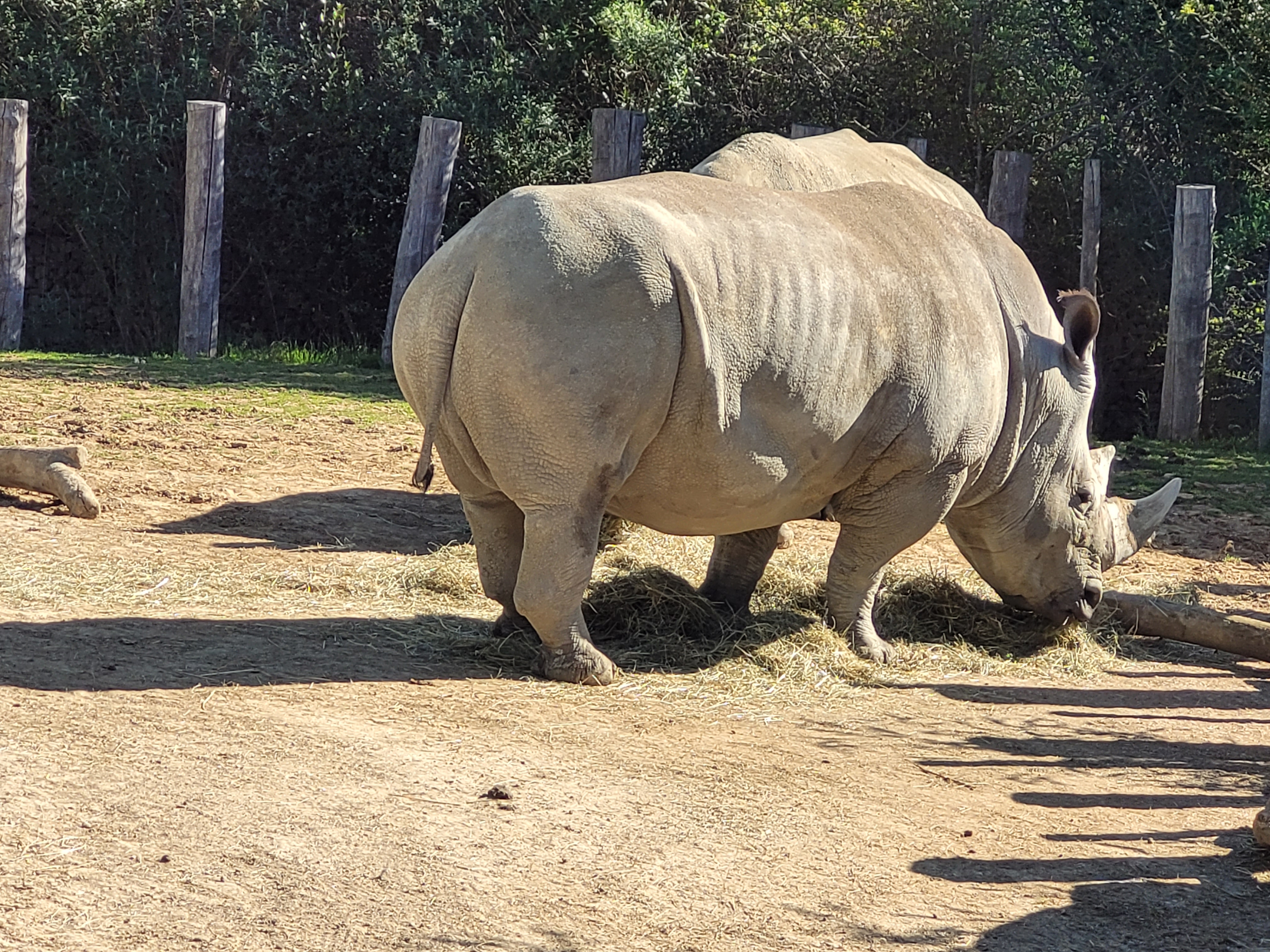 Photo n° 7 de l'avis de Nathalie.o fait le 17/04/2022 à 11:27
