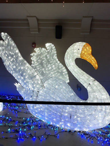 Stadium «Constellation Field», reviews and photos, 1 Stadium Dr, Sugar Land, TX 77498, USA